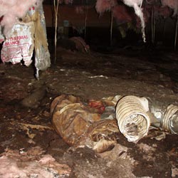 A moldy crawl space environment in Nucla