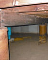 Mold and rot thriving in a dirt floor crawl space in Grand Junction