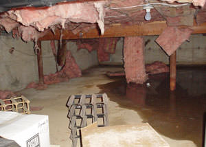 Fiberglass dripping off of the ceilings of a Gunnison crawl space