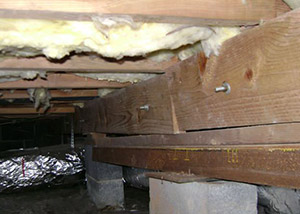 sagging crawl space with wooden shimming a Loma crawl space